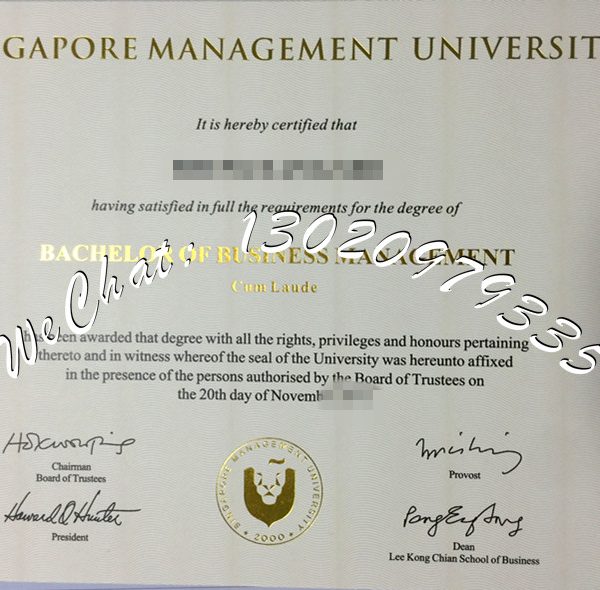 新加坡管理大学_副本