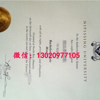 揭秘尼皮辛大学文凭烫金小图，NU Diploma学位证书排版之谜