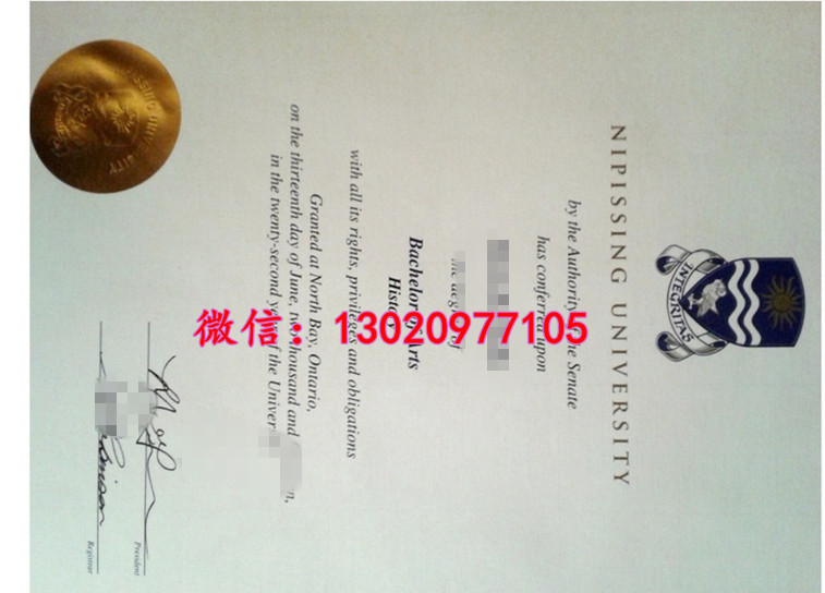 揭秘尼皮辛大学文凭烫金小图，NU Diploma学位证书排版之谜