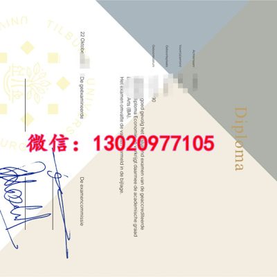 见证蒂尔堡大学文凭效果图，解析毕业证纸张排版信息