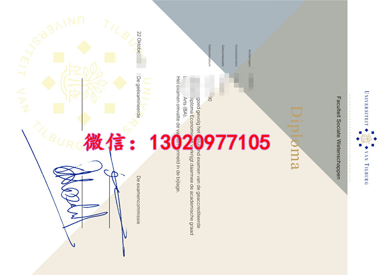 见证蒂尔堡大学文凭效果图,解析毕业证纸张排版信息